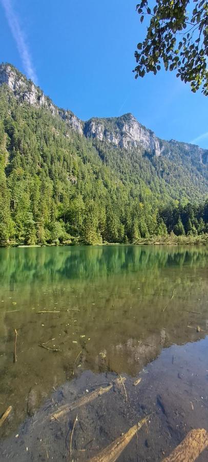 Apartament Laerche 2 - Chiemgaukarte Inklusive- Inzell Zewnętrze zdjęcie