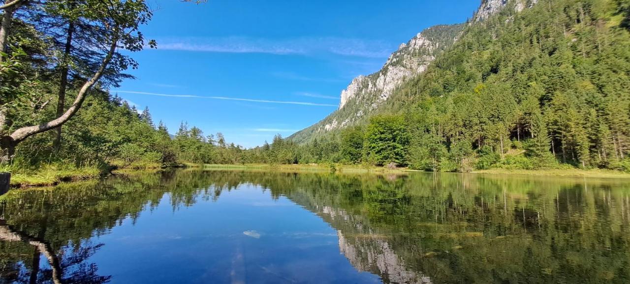Apartament Laerche 2 - Chiemgaukarte Inklusive- Inzell Zewnętrze zdjęcie