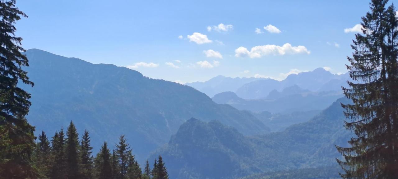 Apartament Laerche 2 - Chiemgaukarte Inklusive- Inzell Zewnętrze zdjęcie