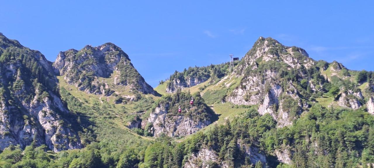 Apartament Laerche 2 - Chiemgaukarte Inklusive- Inzell Zewnętrze zdjęcie